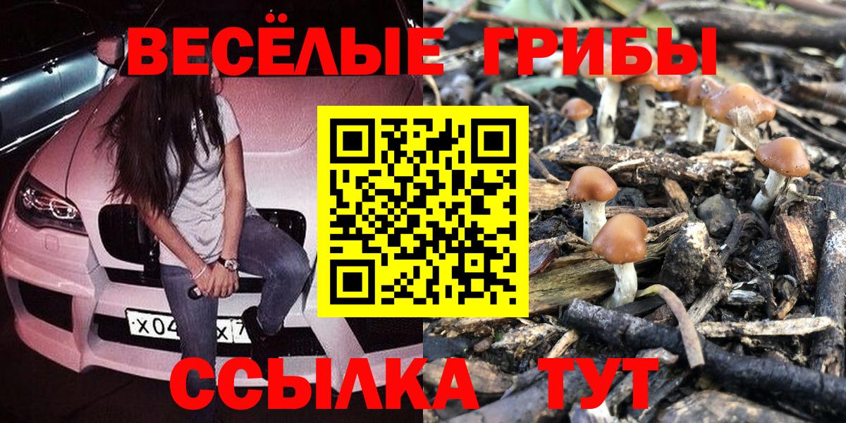 Ногинск  Галлюциногенные грибы прущие грибы  Псилоцибиновые грибы мицелий  Вход с VPN 